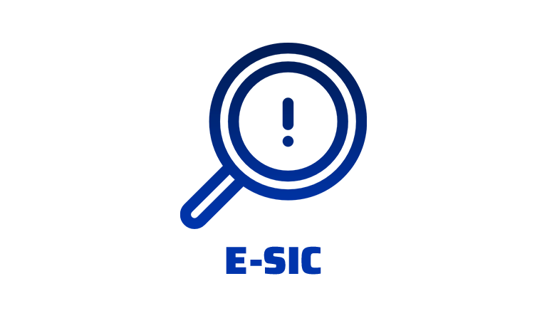 Banner E-SIC